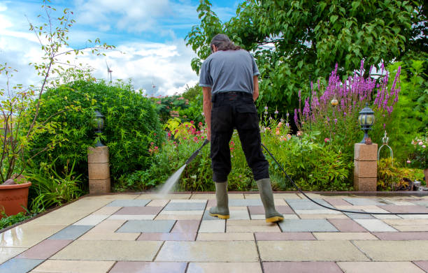 Best Animal Enclosure Cleaning  in Day Heights, OH